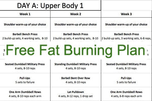 Fitness Plan - Free Fat Burning Plan