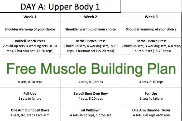 Fitness Plan - Free Muscle Building Plan
