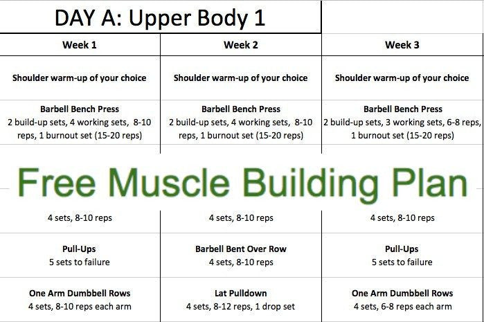 Fitness Plan - Free Muscle Building Plan